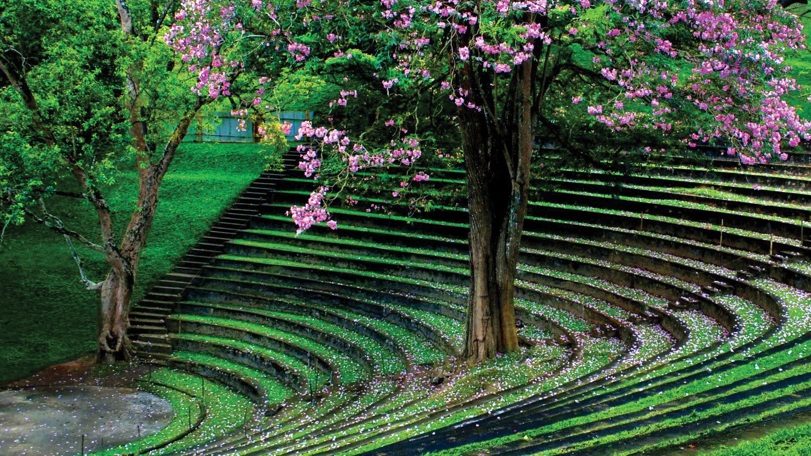 Peradeniya Botanical Gardens